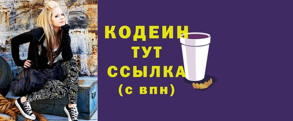амф Пестово