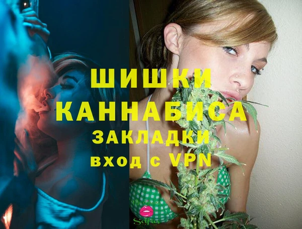 стафф Ухта