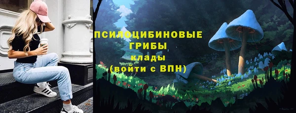 амф Пестово