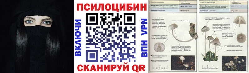 Псилоцибиновые грибы Psilocybine cubensis  Арсеньев 
